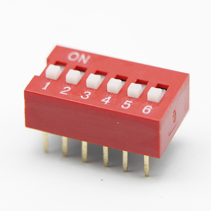 DS-6P